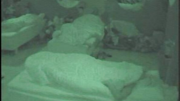 मोठ्या स्तन असलेला बिंबो लेदर सोफ्यावर विहीर आहे