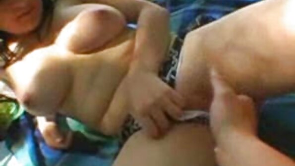 लांब केस असलेली एक पिल्लू एका मोठ्या मोठ्या कोंबड्यावर तिचे पाय वापरत आहे