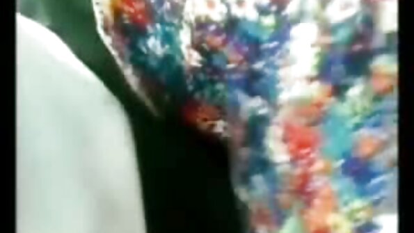 मोठी लूट आकर्षक ब्रिटनी शाई कुत्र्याच्या शैलीमध्ये दणके देत आहे