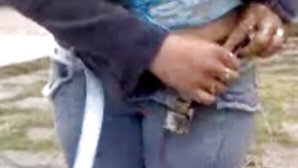 लांब केस असलेली एक कुत्री घरी आहे, पलंगावर आहे, संभोग करत आहे