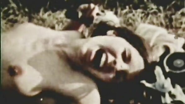 बुब्सची छान जोडी असलेली श्यामला अंथरुणावर चोखत आहे